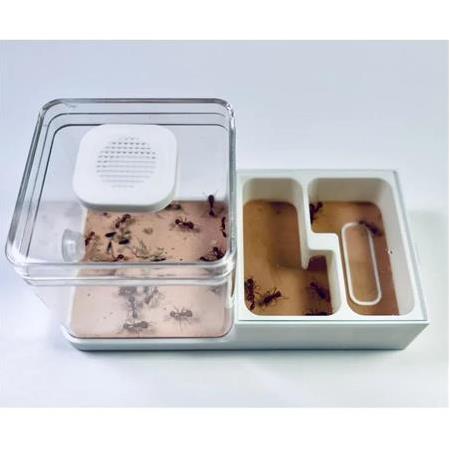 10x5 cm Birleşik Set