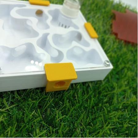 10x10 cm Modüler Formikaryum