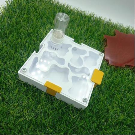 10x10 cm Modüler Formikaryum